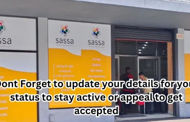 update sassa srd details